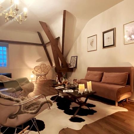 Grand Appartement Place Saint-Pierre, Proche Chateau De Saumur Et Bord De Loire" מראה חיצוני תמונה
