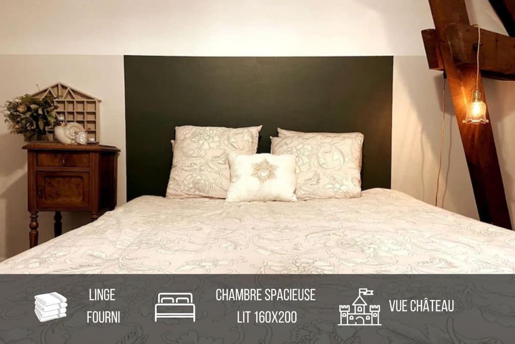 Grand Appartement Place Saint-Pierre, Proche Chateau De Saumur Et Bord De Loire" מראה חיצוני תמונה