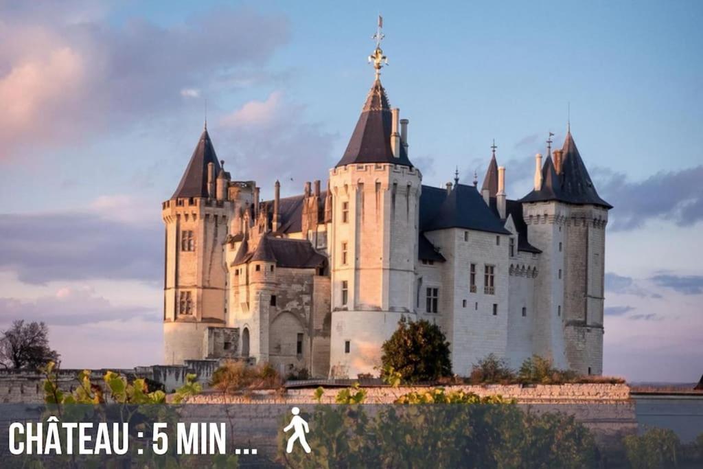 Grand Appartement Place Saint-Pierre, Proche Chateau De Saumur Et Bord De Loire" מראה חיצוני תמונה