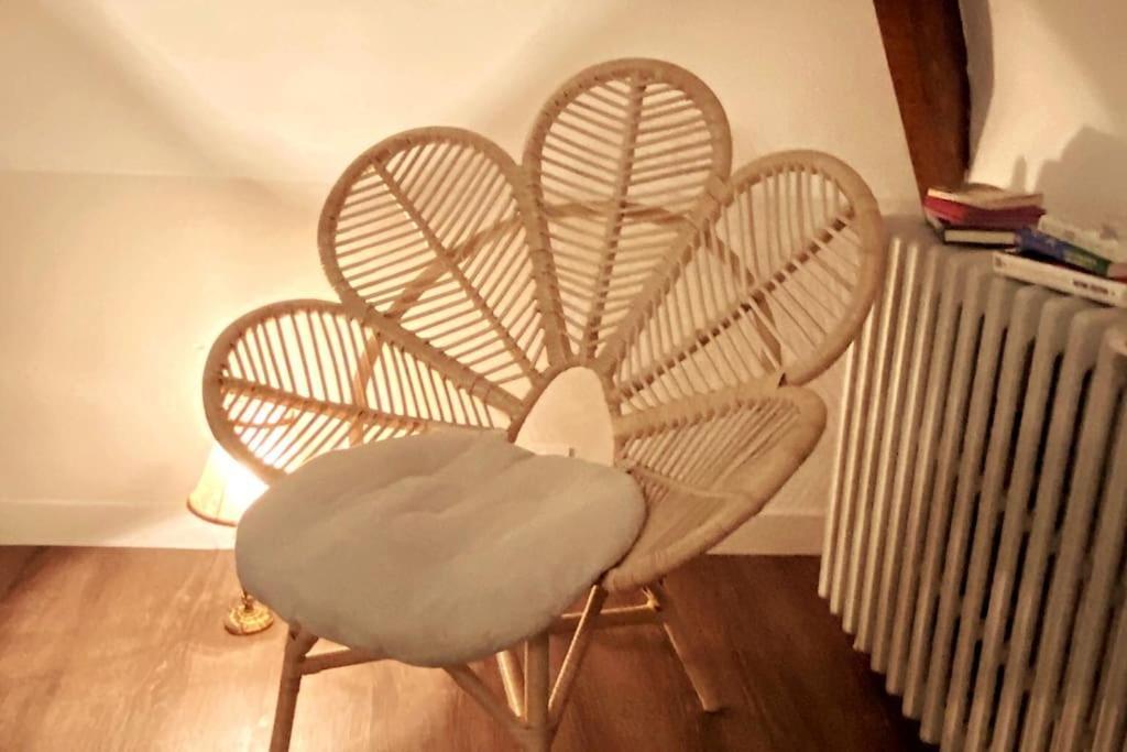 Grand Appartement Place Saint-Pierre, Proche Chateau De Saumur Et Bord De Loire" מראה חיצוני תמונה